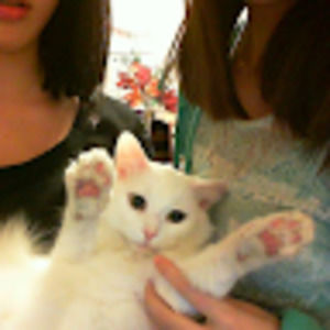 Meet your Posher, Isabel